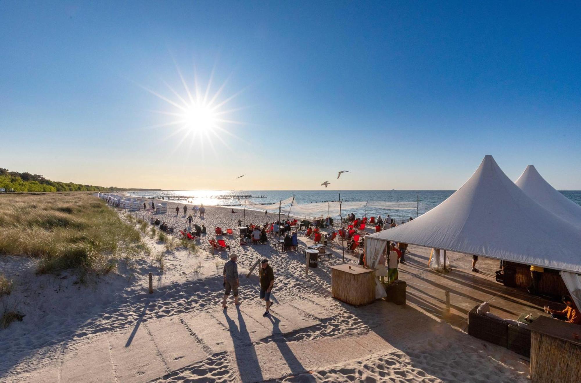 Seebaer Mit Terrasse Zingst Luaran gambar